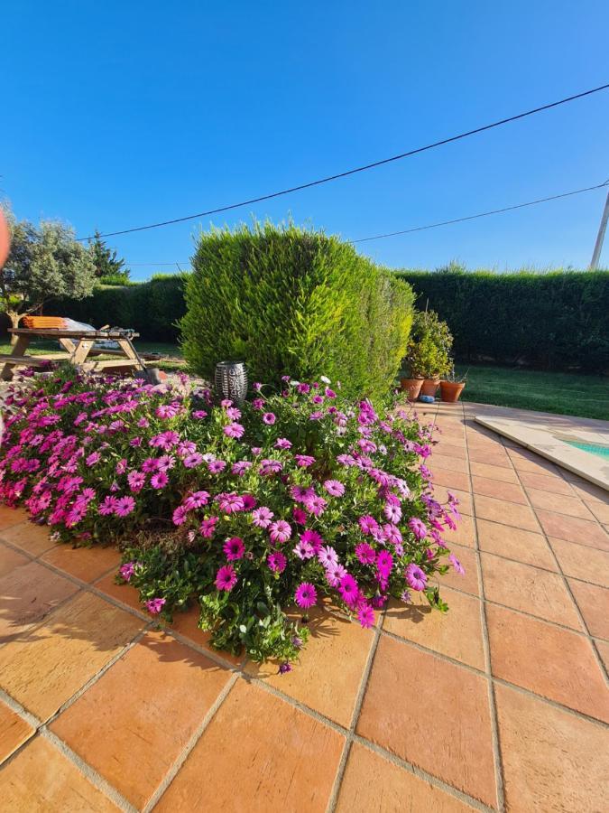Casa Ensolarada B&B And Pottery Aljezur Dış mekan fotoğraf